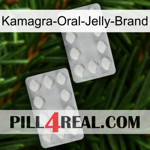 Kamagra-Oral-Jelly-Brand 17.jpg